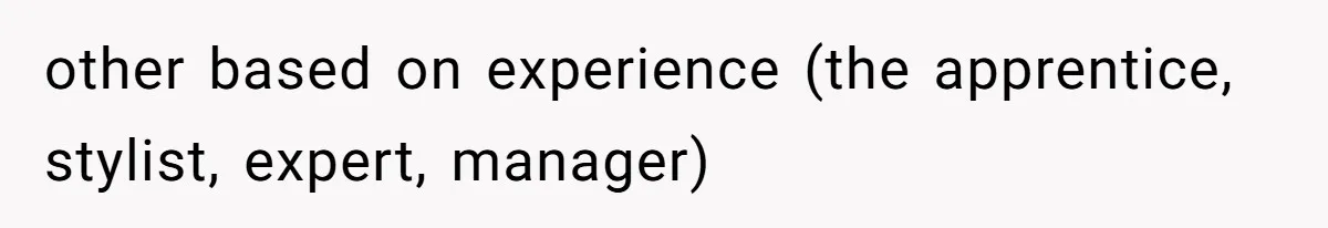 other based on experience (the apprentice, stylist, expert, manager)