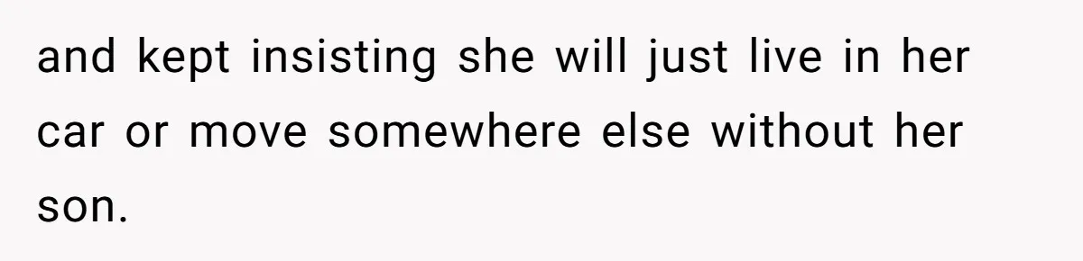 Roommate Sneaks Into Couple’s Bedroom And Uses Her Vibrator, Now They Feel Completely Violated and kept insisting she will just live in her car or move somewhere else without her son.