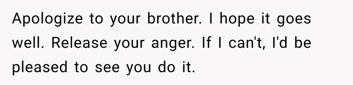 Apologize to your brother. I hope it goes well. Release your anger. If I can't, I'd be pleased to see you do it.