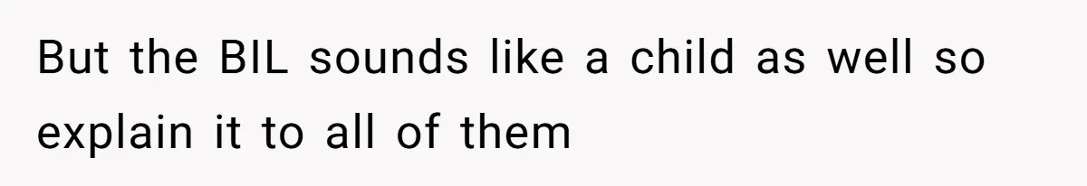 But the BIL sounds like a child as well so explain it to all of them