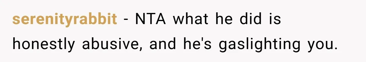 serenityrabbit − NTA what he did is honestly abusive, and he's gaslighting you.