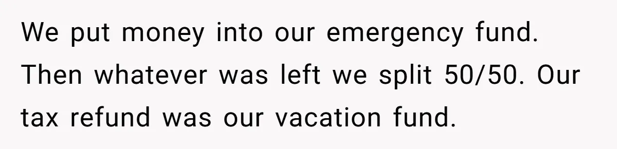 We put money into our emergency fund. Then whatever was left we split 50/50. Our tax refund was our vacation fund.