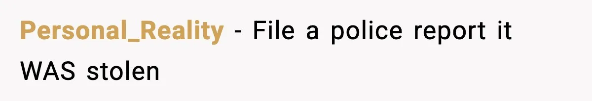 Personal_Reality - File a police report it WAS stolen