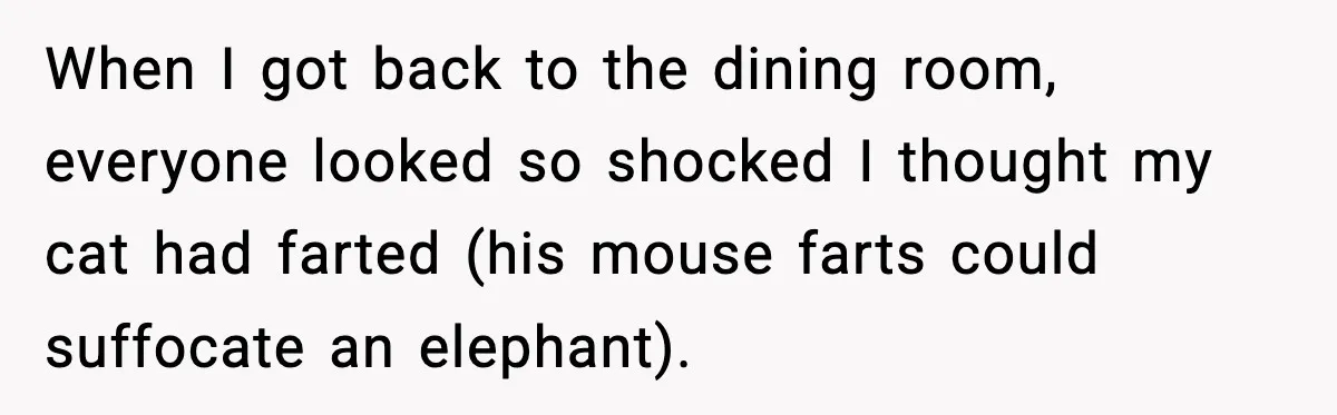 When I got back to the dining room, everyone looked so shocked I thought my cat had farted (his mouse farts could suffocate an elephant).