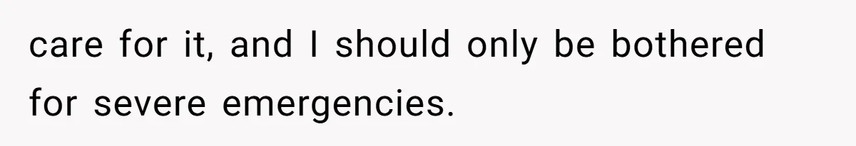care for it, and I should only be bothered for severe emergencies.