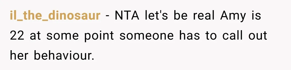 il_the_dinosaur − NTA let's be real Amy is 22 at some point someone has to call out her behaviour.