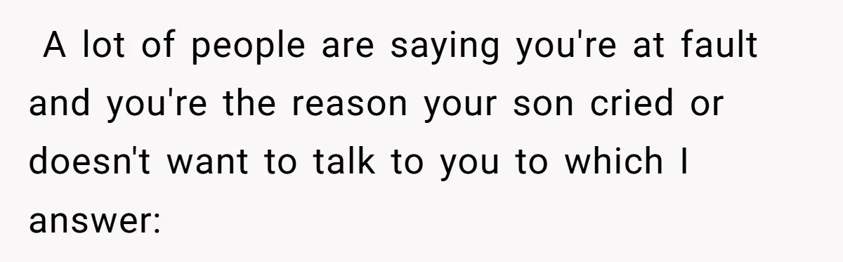​ A lot of people are saying you're at fault and you're the reason your son cried or doesn't want to talk to you to which I answer:
