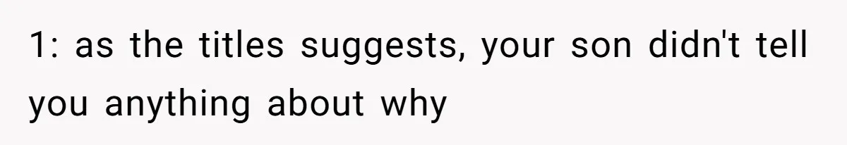 1: as the titles suggests, your son didn't tell you anything about why