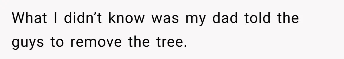 Woman Approves Fence Work Anyway, Can’t Believe Aunt Evicts Them Over Tree What I didn’t know was my dad told the guys to remove the tree.