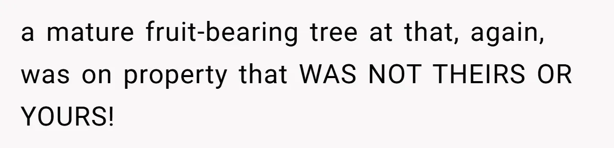 Woman Approves Fence Work Anyway, Can’t Believe Aunt Evicts Them Over Tree a mature fruit-bearing tree at that, again, was on property that WAS NOT THEIRS OR YOURS!