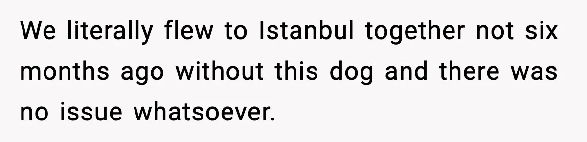 Bridesmaid Wants To Bring 50lb Dog To Vegas Party, Maid Of Honor Says No We literally flew to Istanbul together not six months ago without this dog and there was no issue whatsoever.