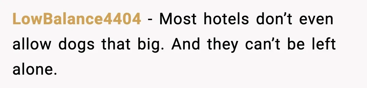 Bridesmaid Wants To Bring 50lb Dog To Vegas Party, Maid Of Honor Says No LowBalance4404 - Most hotels don’t even allow dogs that big. And they can’t be left alone.