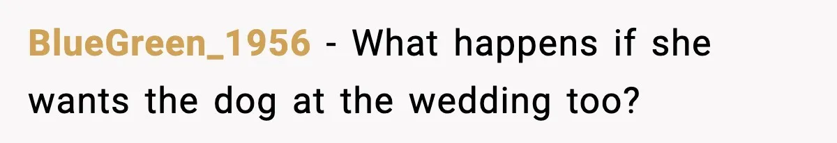 Bridesmaid Wants To Bring 50lb Dog To Vegas Party, Maid Of Honor Says No BlueGreen_1956 - What happens if she wants the dog at the wedding too?
