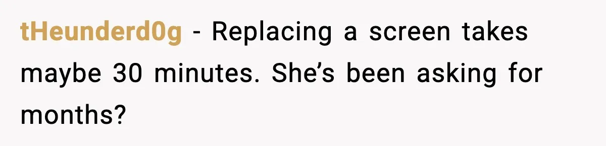 Man Tries To Win Argument By Ignoring Wife, Immediately Regrets It tHeunderd0g - Replacing a screen takes maybe 30 minutes. She’s been asking for months?