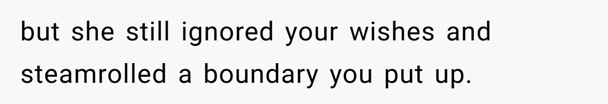 but she still ignored your wishes and steamrolled a boundary you put up.