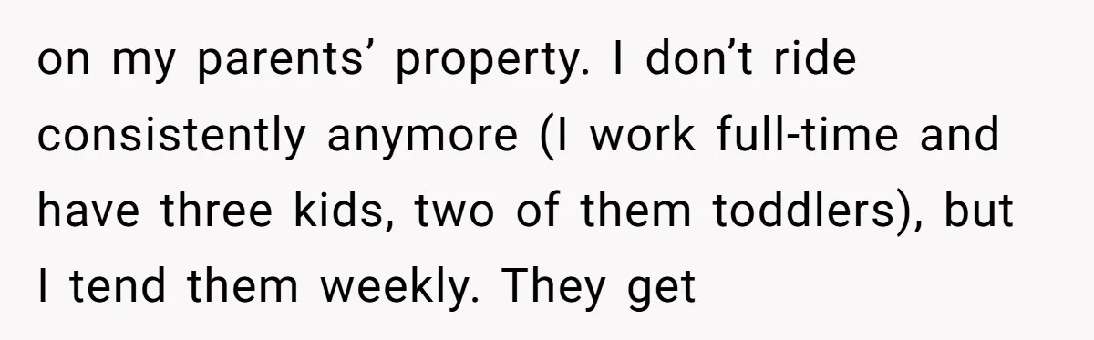 Ghosting, Blocking, and Unhinged Texts: A Farrier’s Exit Left This Horse Owner Completely Confused on my parents’ property. I don’t ride consistently anymore (I work full-time and have three kids, two of them toddlers), but I tend them weekly. They get