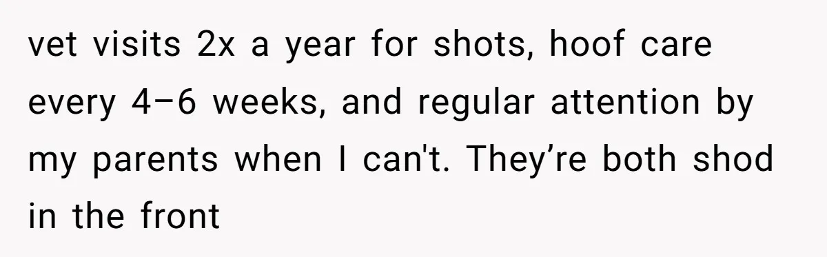 Ghosting, Blocking, and Unhinged Texts: A Farrier’s Exit Left This Horse Owner Completely Confused vet visits 2x a year for shots, hoof care every 4–6 weeks, and regular attention by my parents when I can't. They’re both shod in the front