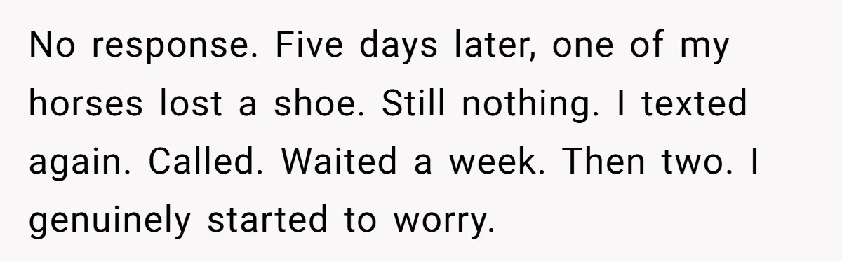 Ghosting, Blocking, and Unhinged Texts: A Farrier’s Exit Left This Horse Owner Completely Confused No response. Five days later, one of my horses lost a shoe. Still nothing. I texted again. Called. Waited a week. Then two. I genuinely started to worry.