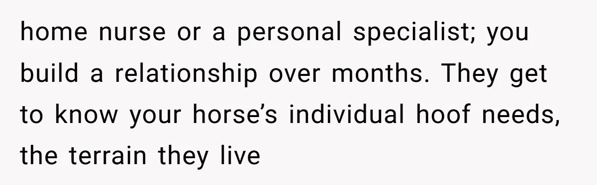 Ghosting, Blocking, and Unhinged Texts: A Farrier’s Exit Left This Horse Owner Completely Confused home nurse or a personal specialist; you build a relationship over months. They get to know your horse’s individual hoof needs, the terrain they live