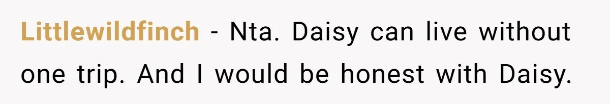 The Annual Trip That Started a War: Why This Aunt Stands Her Ground Littlewildfinch − Nta. Daisy can live without one trip. And I would be honest with Daisy.