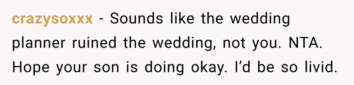 crazysoxxx − Sounds like the wedding planner ruined the wedding, not you. NTA. Hope your son is doing okay. I’d be so livid.