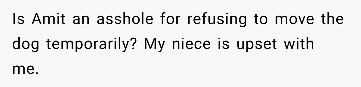 Woman Shuts Down Family’s Request To Remove Service Dog, Gets Accused Of Being Selfish Is Amit an asshole for refusing to move the dog temporarily? My niece is upset with me.
