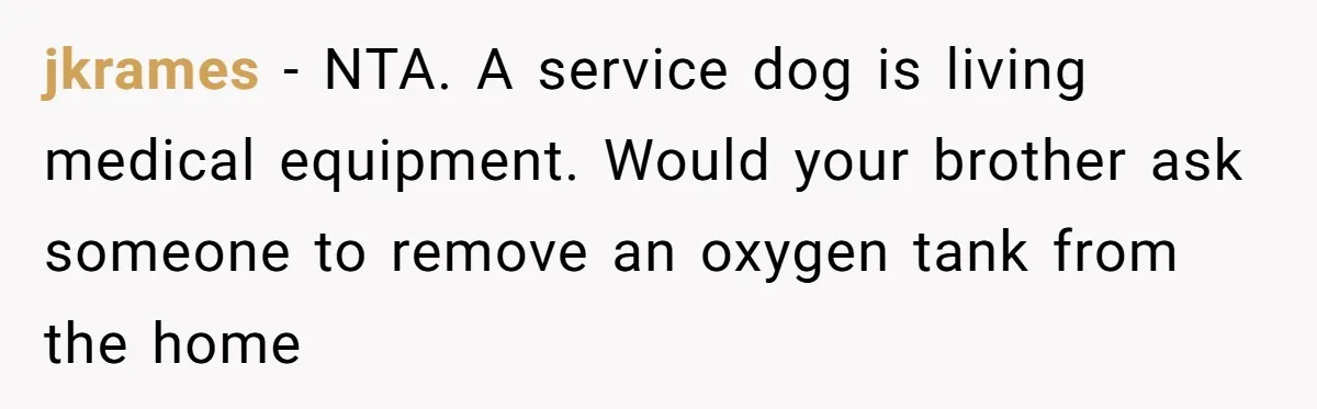 Woman Shuts Down Family’s Request To Remove Service Dog, Gets Accused Of Being Selfish jkrames − NTA. A service dog is living medical equipment. Would your brother ask someone to remove an oxygen tank from the home