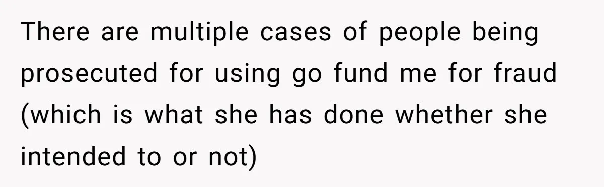 There are multiple cases of people being prosecuted for using go fund me for fraud (which is what she has done whether she intended to or not)