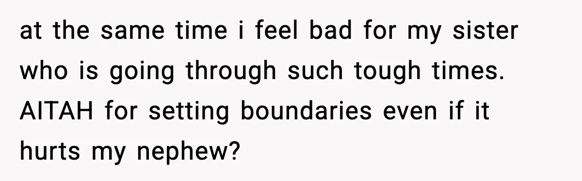 at the same time i feel bad for my sister who is going through such tough times. AITAH for setting boundaries even if it hurts my nephew?