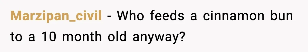 Woman Furious After Aunt Feeds Allergic Baby Behind Parents’ Back Marzipan_civil - Who feeds a cinnamon bun to a 10 month old anyway?