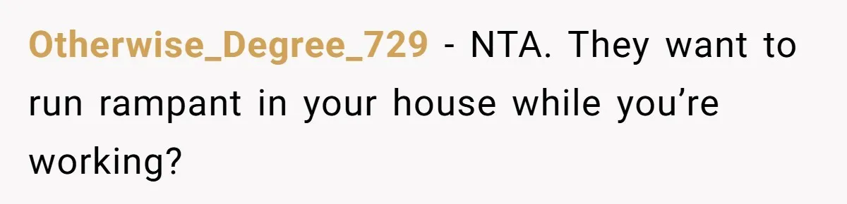 Man Refuses To House Brother’s Family, Now Faces Fury Over ‘Choosing Comfort Over Blood’ Otherwise_Degree_729 − NTA. They want to run rampant in your house while you’re working?