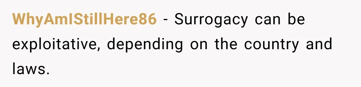 Sister Lectures About Surrogacy, Now He Won’t Let Her Meet His Baby WhyAmIStillHere86 − Surrogacy can be exploitative, depending on the country and laws.