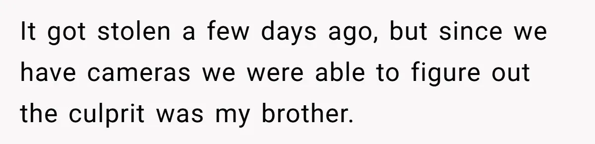 Man Calls Police On His Brother For Stealing Pride Flag It got stolen a few days ago, but since we have cameras we were able to figure out the culprit was my brother.