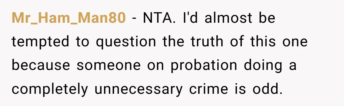 Man Calls Police On His Brother For Stealing Pride Flag Mr_Ham_Man80 − NTA. I'd almost be tempted to question the truth of this one because someone on probation doing a completely unnecessary crime is odd.
