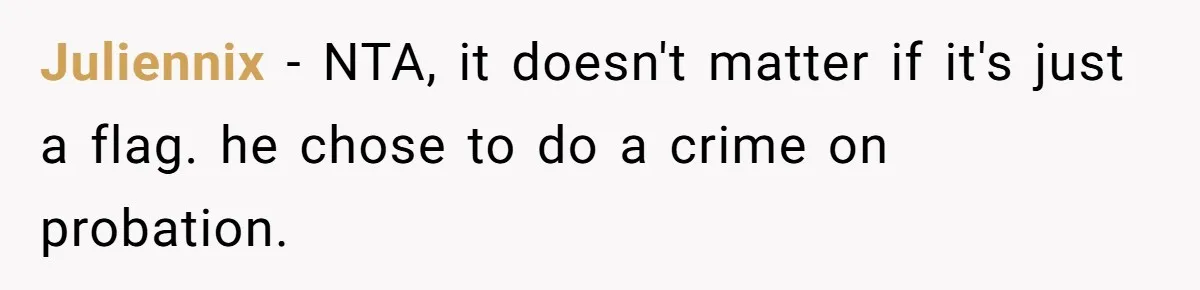 Man Calls Police On His Brother For Stealing Pride Flag Juliennix − NTA, it doesn't matter if it's just a flag. he chose to do a crime on probation.