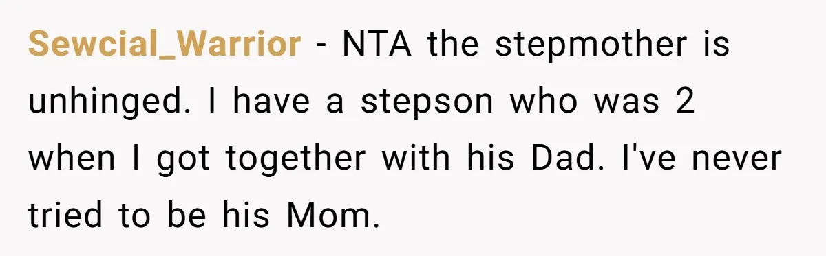 Sewcial_Warrior − NTA the stepmother is unhinged. I have a stepson who was 2 when I got together with his Dad. I've never tried to be his Mom.