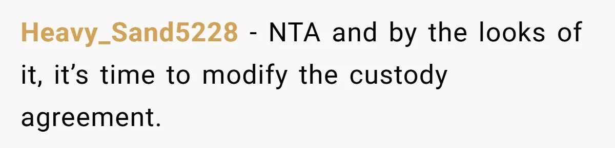 Heavy_Sand5228 − NTA and by the looks of it, it’s time to modify the custody agreement.