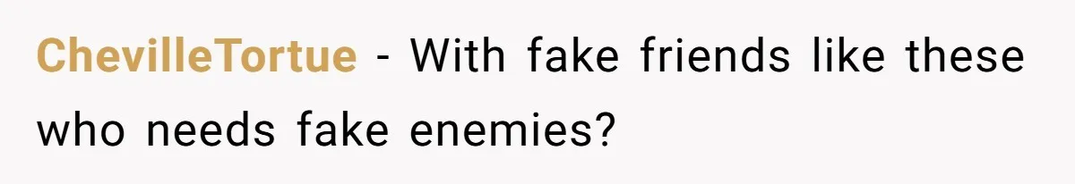 ChevilleTortue − With fake friends like these who needs fake enemies?