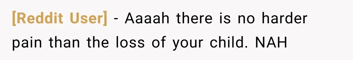 [Reddit User] − Αaaah there is no harder pain than the loss of your child. NAH