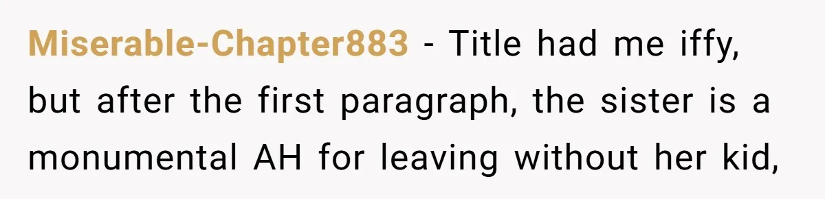 Miserable-Chapter883 − Title had me iffy, but after the first paragraph, the sister is a monumental AH for leaving without her kid,