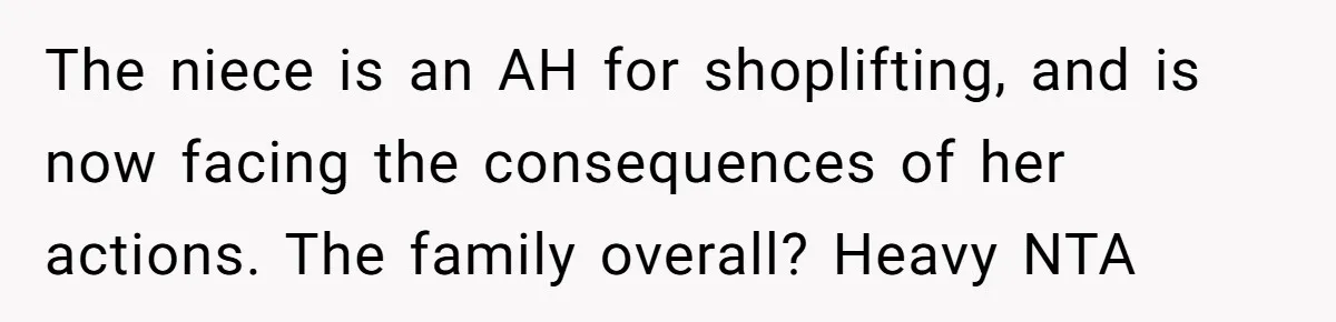 The niece is an AH for shoplifting, and is now facing the consequences of her actions. The family overall? Heavy NTA