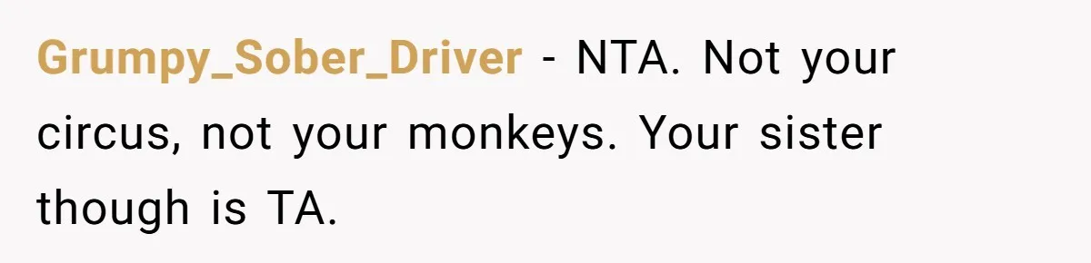 Grumpy_Sober_Driver − NTA. Not your circus, not your monkeys. Your sister though is TA.