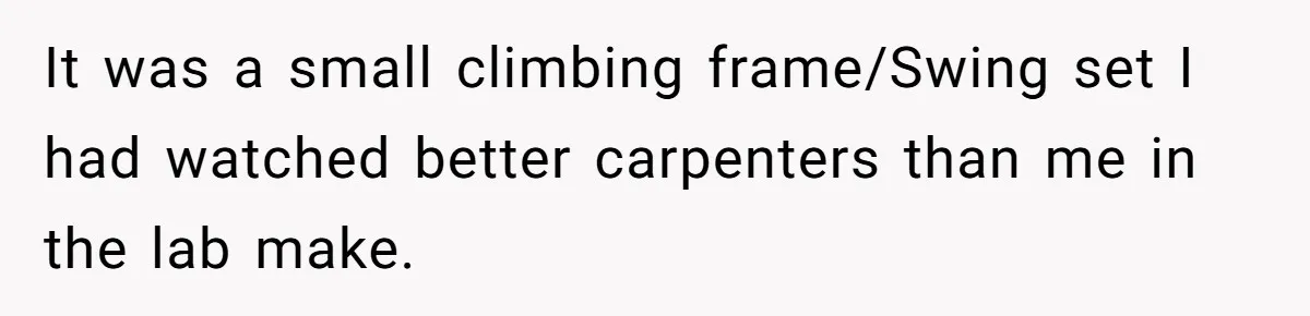 It was a small climbing frame/Swing set I had watched better carpenters than me in the lab make.