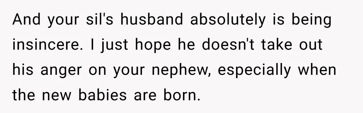 And your sil's husband absolutely is being insincere. I just hope he doesn't take out his anger on your nephew, especially when the new babies are born.
