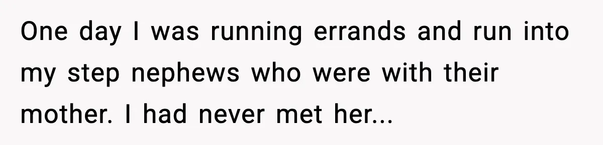One day I was running errands and run into my step nephews who were with their mother. I had never met her...