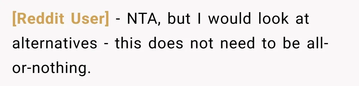 [Reddit User] − NTA, but I would look at alternatives - this does not need to be all-or-nothing.