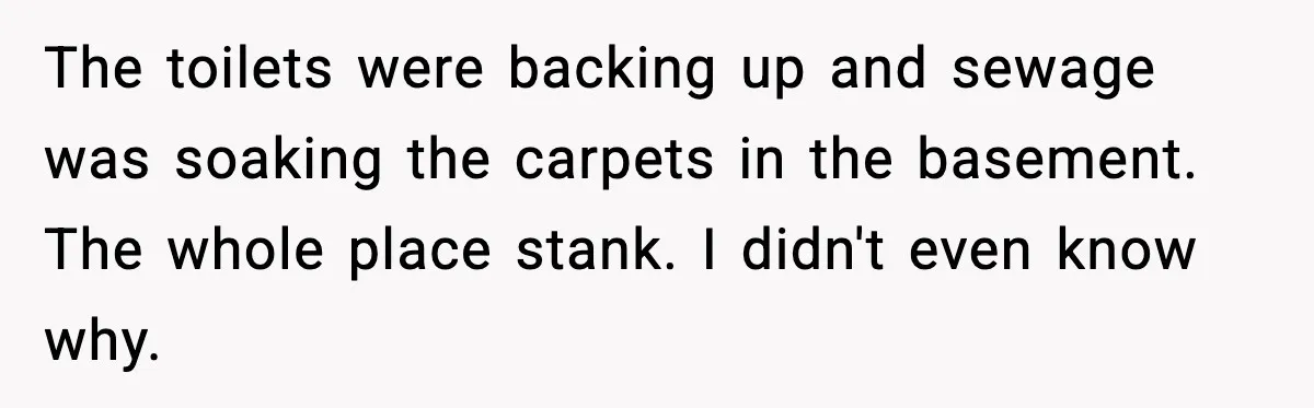 The toilets were backing up and sewage was soaking the carpets in the basement. The whole place stank. I didn't even know why.