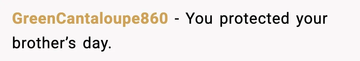 GreenCantaloupe860 - You protected your brother’s day.