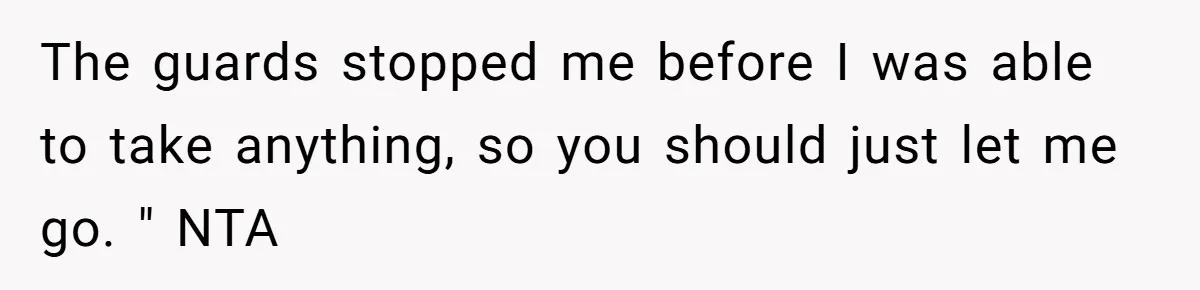 The guards stopped me before I was able to take anything, so you should just let me go. " NTA