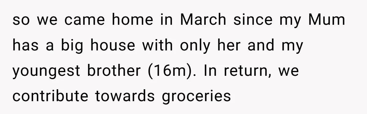 Family Tensions Explode After Brother Insists on Using Slurs in the Home so we came home in March since my Mum has a big house with only her and my youngest brother (16m). In return, we contribute towards groceries